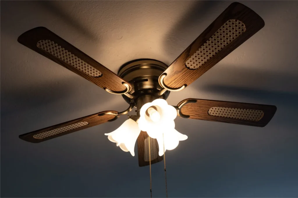 light fan2